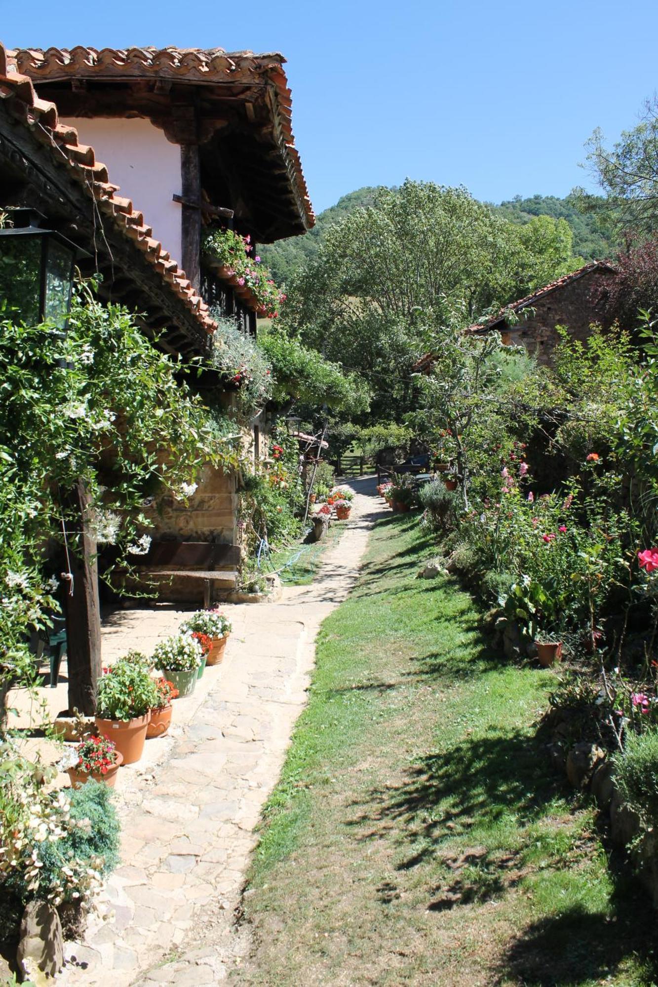 Hostal Casona de Treviño Cosgaya Exterior foto